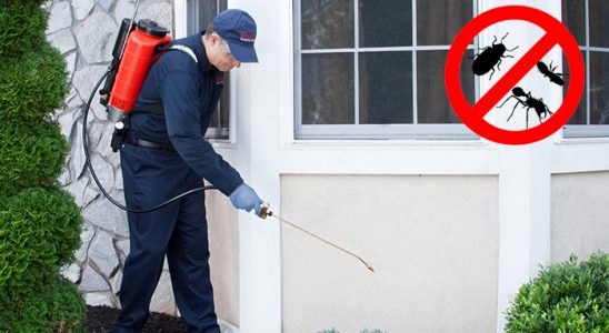 Ereğli Dezenfeksiyon böcek ilaçlama ve haşere kontrolü — ilaclama-tr.com